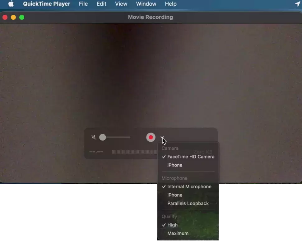 Small arrow on QuickTimes player