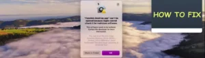 Fix apple can't check malicious software