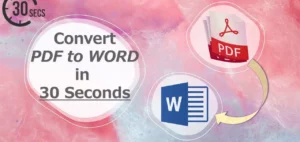convert pdf to word