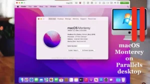 monterey on parallel desktop